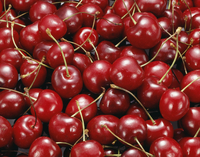 アメリカンチェリー[10137004852]の写真・イラスト素材｜アマナイメージズ