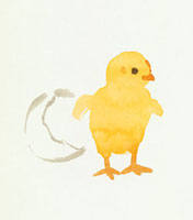 ヒヨコ 黄色のイラスト素材 アマナイメージズ