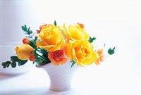 シルビア 花 薔薇 花瓶 バンケット オレンジ背景 額縁 アート Amazon.co.jp: 絵画風 壁紙ポスター （はがせるシール式） 赤い