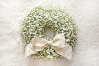 かすみ草のリース の写真素材 イラスト素材 アマナイメージズ