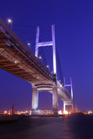 10203002005.jpg