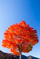 10211003254.jpg