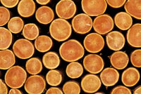 積み上げけられた木材の断面 の写真素材 イラスト素材 アマナイメージズ