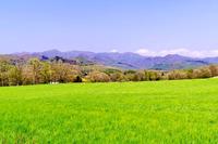 春の草原 10217000480.jpg