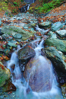 分杭峠ゼロ磁場の石　水石として。 10247025118.jpg