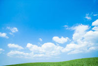 Fujio 油彩画 青空と草原の風景 Fujio 油彩画 青空と草原の風景 Fujio 油彩画 青空と草原の風景 （