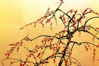 屏風絵 梅手書き屏風絵 楽天市場】紅白梅図屏風の通販