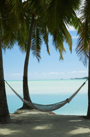 南国の風景画 10445001584.jpg