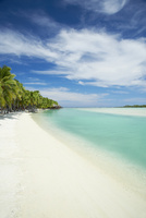 南国の風景画 10445001587.jpg