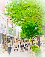 都市の質を探して 自由が丘、九品仏川緑道百景 1280px-Kuhonbutugawa_ryokudo.JPG