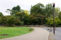 10505000744.jpg