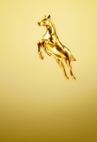 ゴールドの馬[10610002591]の写真・イラスト素材｜アマナイメージズ