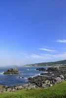 油彩画 青森県八戸市　種差海岸 油彩画 青森県八戸市 種差海岸 絵画