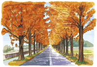 油絵　メタセコイヤのある風景 メタセコイヤ