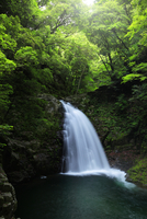 森の滝 10816003882.jpg