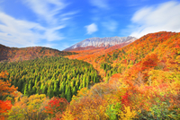 10816004761.jpg