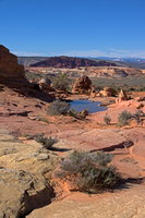 乾燥した砂漠地帯を通過した雨が残した水溜り の写真素材 イラスト素材 アマナイメージズ
