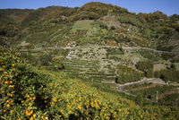 連なる山 10972003106.jpg