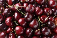 アクリル画 無題 105 『アメリカンチェリー 』 フルーツシリーズ アメリカンチェリー：イラスト無料