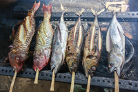 魚の串焼き の写真素材 イラスト素材 アマナイメージズ