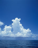 20007001545.jpg