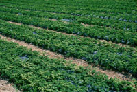 20013021278.jpg