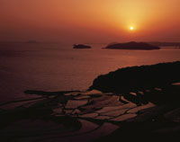 馬と古城夕陽が沈む雰囲気が出た作品です。 25073002566.jpg