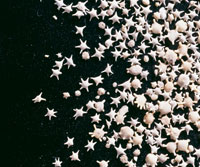 星の砂[25420006415]の写真・イラスト素材｜アマナイメージズ