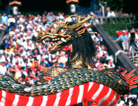 長崎くんち 龍踊[25558003490]の写真・イラスト素材｜アマナイメージズ