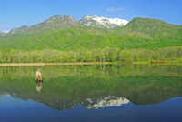 風景画　黒姫山　額縁入り アートフレーム》葛飾北斎(浮世絵)DX額「神奈川沖浪裏」 - 絵画や