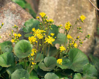 28105002575.jpg