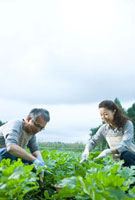 農家 の写真素材 ストックフォト アマナイメージズ