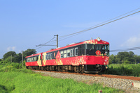 01010026741.jpg