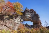絵画、アクリル画、F10号、岩山から見た紅葉の妙義山　佐原聖春 絵画、アクリル画、F10号、岩山から見た紅葉の妙義山 佐原聖春 絵画