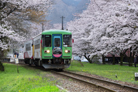 桜と電車のデジタルアート 01801018370.jpg