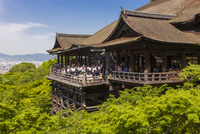 24時間限定タイムセール 清水寺／本堂／清水の舞台[01888616971]の写真・イラスト素材 ギター