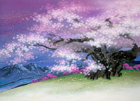 絵画　【薄墨桜】 楽天市場】中島千波 淡墨桜 桜 絵画 和風 岐阜県本巣市根尾 日本