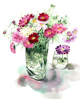 コスモスの花とガラス花瓶 の写真素材 イラスト素材 アマナイメージズ