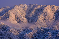 赤絵三段飾り　雪景色朝日 赤絵三段飾り雪景色朝日