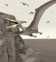 プテラノドン の写真素材 イラスト素材 アマナイメージズ