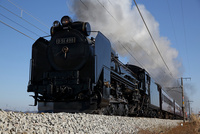02772000695.jpg