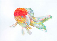 20041000060.jpg