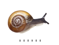 20047002094.jpg