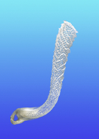 カイロウドウケツ 20057000998.jpg