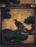 鷹と松 松鷹図[20061000184]の写真・イラスト素材｜アマナイメージズ