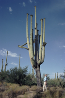 20070004751.jpg