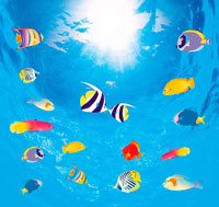 【原画】『海底宮殿』魚の絵　魚介類　海の絵 22257001465.jpg