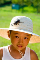 ポムポムプリン カフェ　麦わら帽子 虫かご　網　カブトムシ 2016年 フルーツパーラー＋ベーカリーSeason&Co.が 「ポムポムプリンカフェ