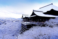 清水寺　雪景色　額入り 清水寺雪景色 | 写真 | アールクリエーション