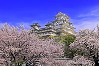 ベトナム 米絵 城 ライスピクチャー 日本画 風景画 姫路城  桜 一流の品質 城 米絵 ベトナム 味わい深い 風景画 日本画 ライス